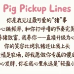 Pig Pickup Lines